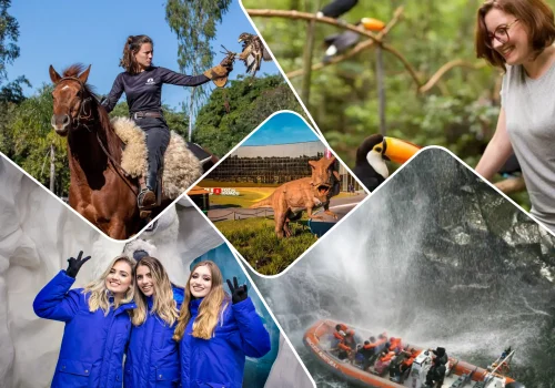 Transfer e Tour em Foz do Iguaç